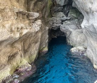Tour Privato Marettimo - 1